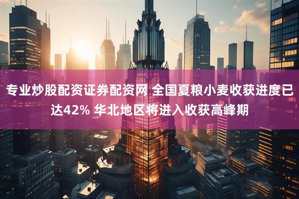 专业炒股配资证券配资网 全国夏粮小麦收获进度已达42% 华北地区将进入收获高峰期
